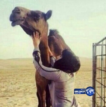 ابد اللوز موجودة عني انا