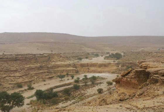 هطول أمطار غزيرة على محافظة الغاط (صور)