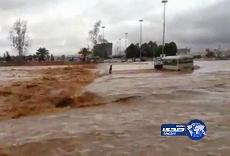 بالفيديو.. سوداني بطل خاطر بحياته لإنقاذ سائق حافلة من الغرق في سيول حائل