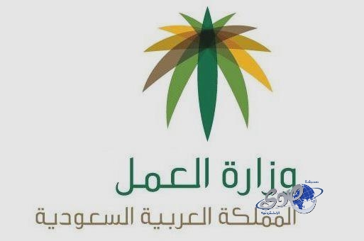 800 ألف وظيفة “مسعودة” نتيجة الحملات التفتيشية