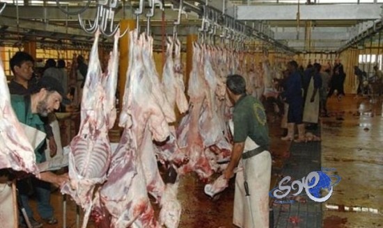 إتلاف 168 ذبيحة بمسالخ جدة وتسجيل 4 مخالفات في سوق الأنعام