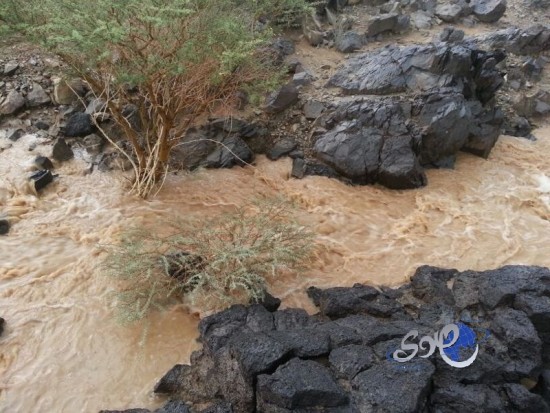 أمطار غزيرة إلى متوسطة على محافظة الخرمة