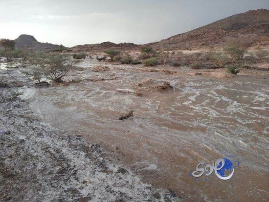 هطول أمطار غزيرة على جنوب بيشة