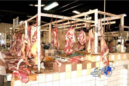 إعدام 296 رأساً من “المواشي” لعدم صلاحيتها صحياً في الأحساء