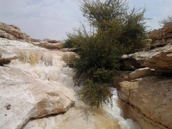 هطول أمطار وجريان بعض الأودية بالأفلاج