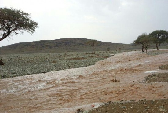 هطول أمطار غزيرة على البجادية والحفنه والنير