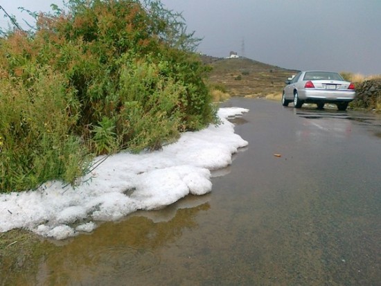 “مدني عسير”: لم نتلق بلاغات عن حوادث بسبب الأمطار