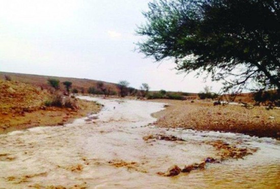 توقعات باستمرار الأمطار على المملكة حتى نهاية الأسبوع