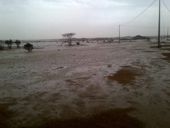 هطول أمطارٌ غزيرة على &#8220;تربة&#8221; أجرت السيول والشعاب
