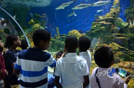 أرامكو ترسم معالم الفرح على محيا 100 يتيم