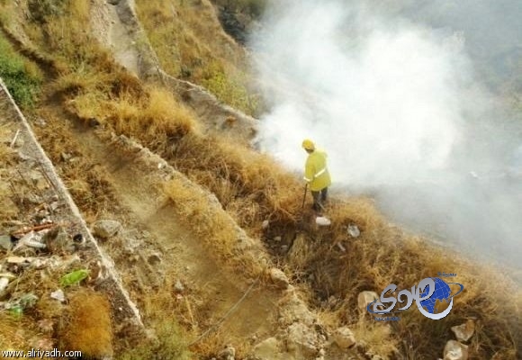 فرق الاطفاء بجبل فيفا تسيطر على حريق نشب في العبسية