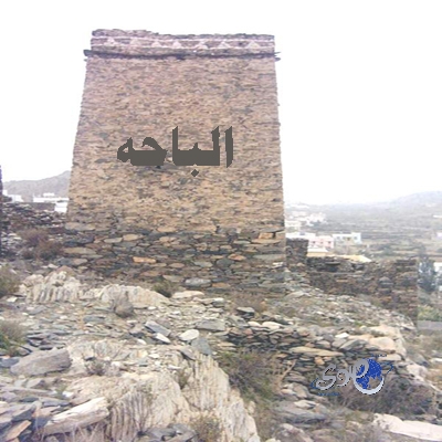 القبض على 606 من مخالفي الإقامة ومجهولي الهوية بالباحة