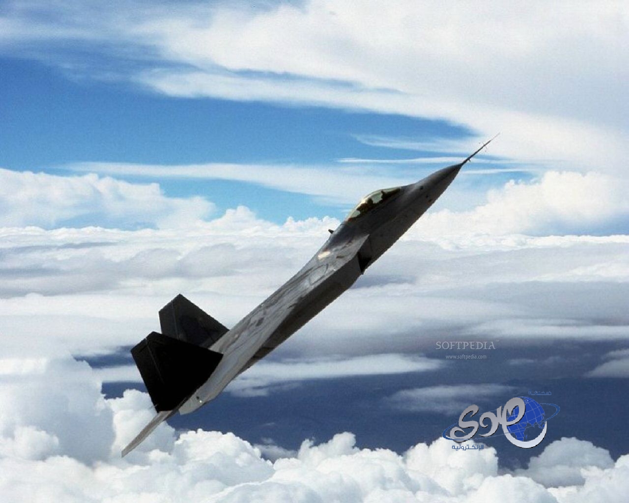 ضابطة أفريقية تصل إلى «جازان».. وتعلن رغبتها في عدم العودة