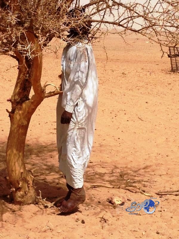 آسيوي ينتحر شنقاً بالصحراء .. و التحقيقات مازالت مستمرة