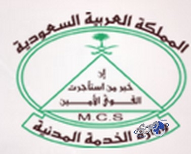 الخدمه المدنية : تطبيق معايير الجدارة العام المقبل