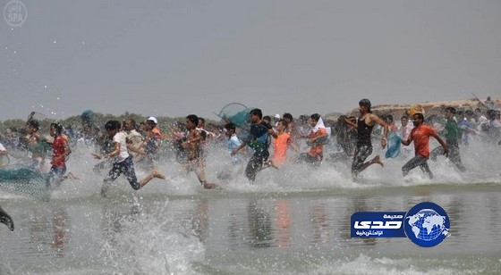 أهالي وزوار فرسان يتأهبون لصيد سمك الحريد غداً