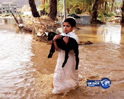 صورة طفل يحمي ماعزاً من السيول تجذب المغردين السعوديين