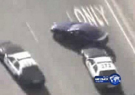 شرطي يوقف مطاردة سيارة لينقذ بطة