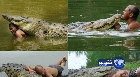 صياد يقضي عيد ميلاده مع «تمساح»