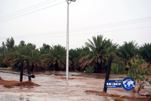 أمطار غزيرة بمحافظة السليل وإعلان حالة الطوارئ