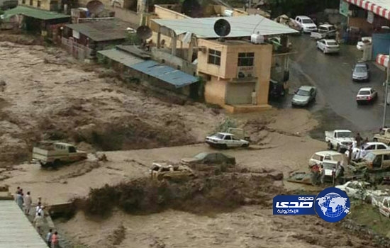 بالصور.. السيول تجرف سيارات المواطنين بمحافظة الداير بني مالك