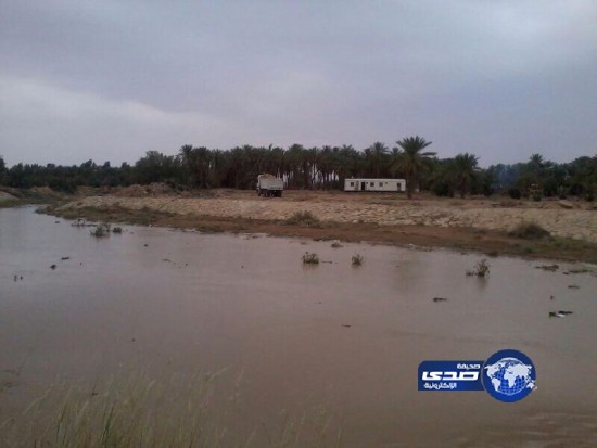 أمطار المذنب تخلي 8 منازل وتحتجز 4 مركبات