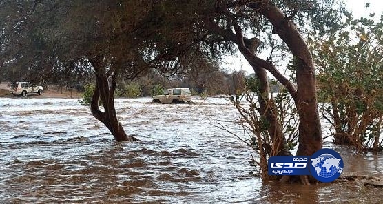 تسيير قوافل إغاثية لعدد من القرى المحاصَرة جنوب محافظة الطائف