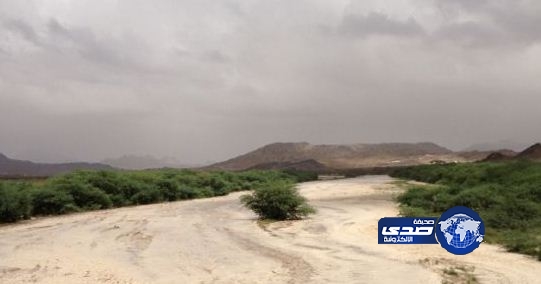 الصاعدي: سيول القنفذة في مجراها والفرق الميدانية مستعدة لأي طارئ