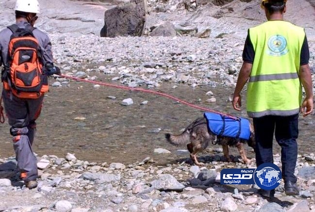 “مدني بالباحة” يستعين بالكلاب في البحث والإنقاذ أعقاب السيول