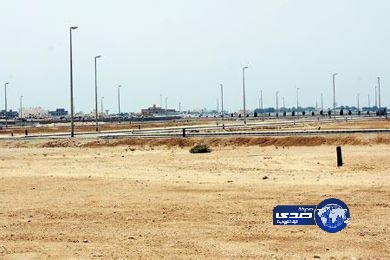 المنح تهدد أسواق العقاربالخسارة…