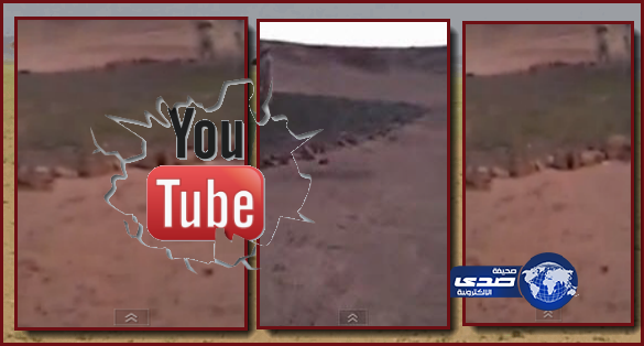 فيديو : مسجد نابت في أرض صحراء قاحلة يُثير رواد مواقع التواصل