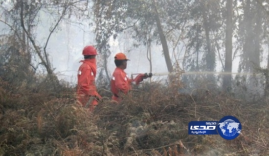 إندونيسيا تستخدم الأمطار الصناعية لإخماد حرائق الغابات