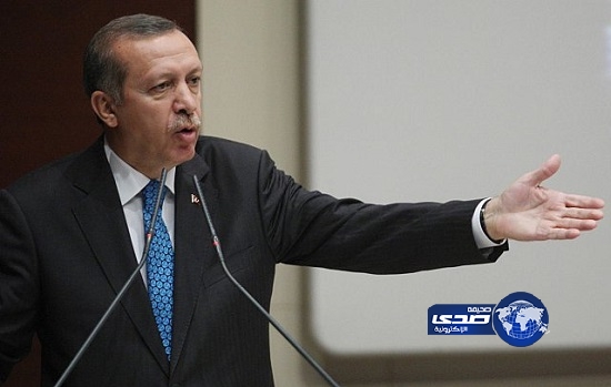 أردوغان: مخطط خارجي وراء الاحتجاجات في تركيا