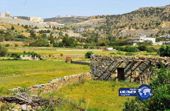 النماص تكتظ بالسواح والمصطافين للتمتع بأجوائها الطبيعية