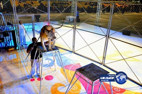 عروض “سيرك الأسود” تجذب 5000 زائر في صيف الشرقية 34