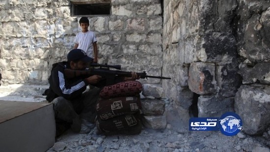 فرنسا تستبعد اتخاذ قرار أممي بفرض حظر جوي على سوريا