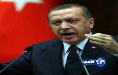 أردوغان يدعو ناخبيه إلى تلقين المتظاهرين “درسا” في الانتخابات البلدية في 2014