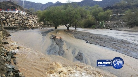 هطول أمطار وسيول على عدد من قرى “عسير”
