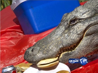 تمساح يهاجم متنزهين ويستولي على طعامهم