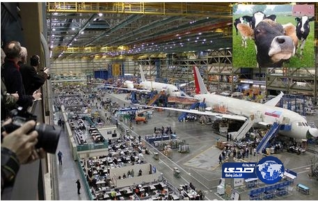 طائرات تعمل على “روث الأبقار” وأجساد الركاب