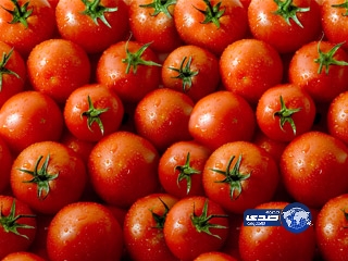 طماطم إسرائيلية مسرطنة تغزو الكويت