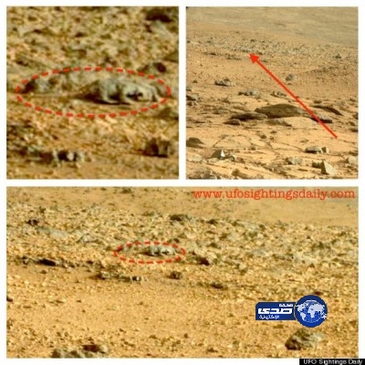 فأر على سطح المريخ؟!.. صور غامضة من ناسا تشعل الجدل على الإنترنت!