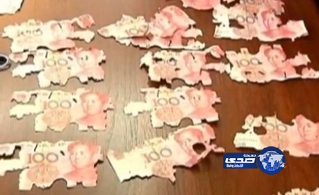 بالفيديو.. نمل يحول ثروة سيدة صينية إلى فتات