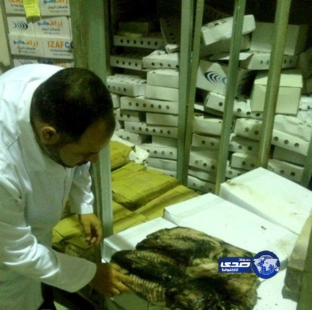 بلدية صبيا تضبط وتصادر طنين من الأسماك