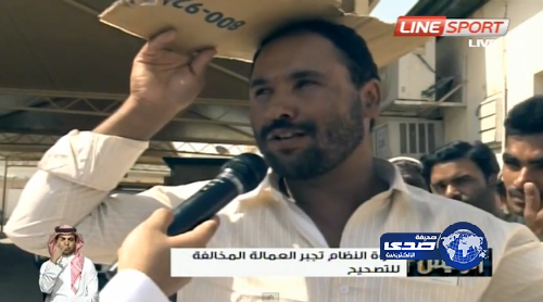 بالفيديو – وافدون يعترفون نحن في السعودية مخالفون منذ 20 عاماً!