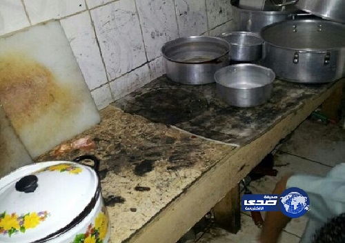 أمانة الرياض تخالف وتغلق 195 منشأة خلال جولات مفاجئة