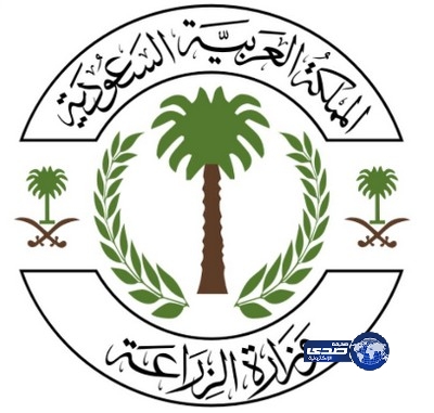 زراعة حائل تدعو المزارعين الراغبين بتوريد تمورهم لمصنع الأحساء لمراجعتها