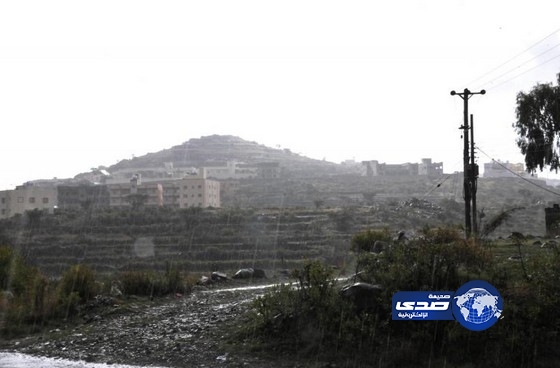 أمطار غزيرة على منتزهات السودة بعسير ومحافظة القنفذة