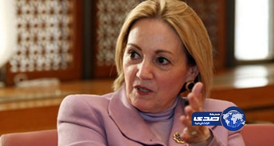 واشنطن تنفى مزاعم وجود سفن أمريكية لغزو مصر