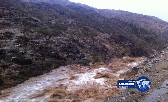 هطول  أمطار على منطقة الباحة